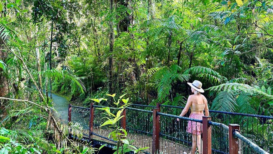 Cairns: Waterfall Tour with Lunch - Lunch in Malanda and what to expect on the plate