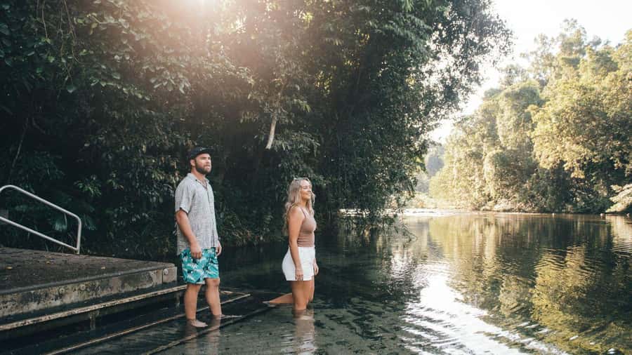 Cairns: Waterfall Tour with Lunch - Millaa Millaa Falls, the day’s picture-perfect stop