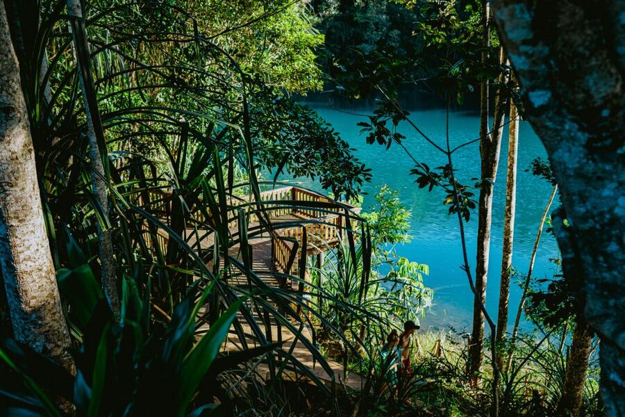 Cairns: Waterfall Tour with Lunch - Josephine Falls and the natural rock slide