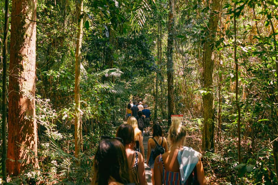 Cairns: Waterfall Tour with Lunch - Babinda Boulders and the stories beneath the scenery