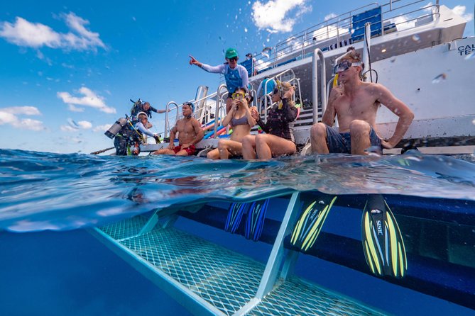 Calypso Outer Great Barrier Reef Cruise from Port Douglas - The Calypso day at a glance