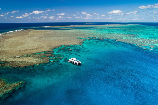 Calypso Outer Great Barrier Reef Cruise from Port Douglas - Buffet lunch, reef talk, and a third chance to swim