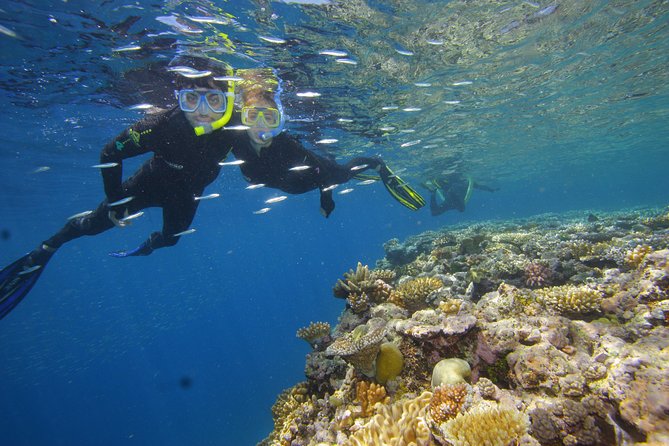Calypso Outer Great Barrier Reef Cruise from Port Douglas - Who will enjoy this cruise most