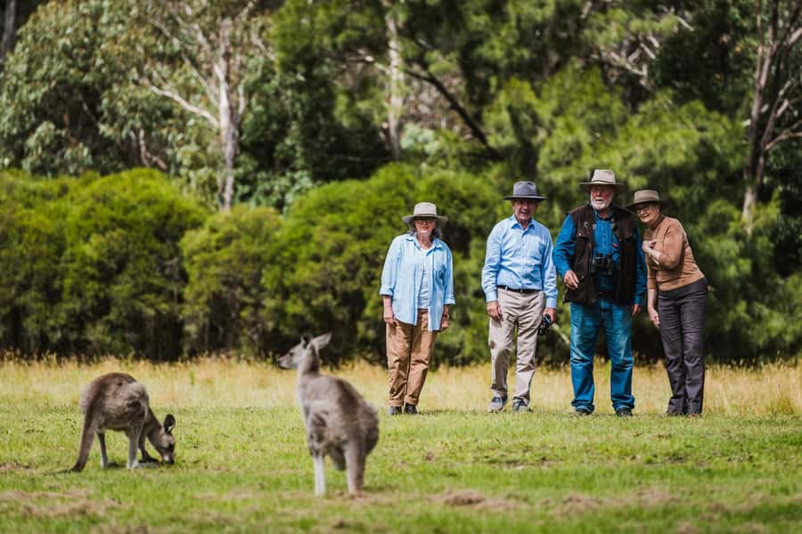 Canberra: Kangaroos and Koala Experience Tour - Tidbinbilla Nature Reserve: the wildlife search begins