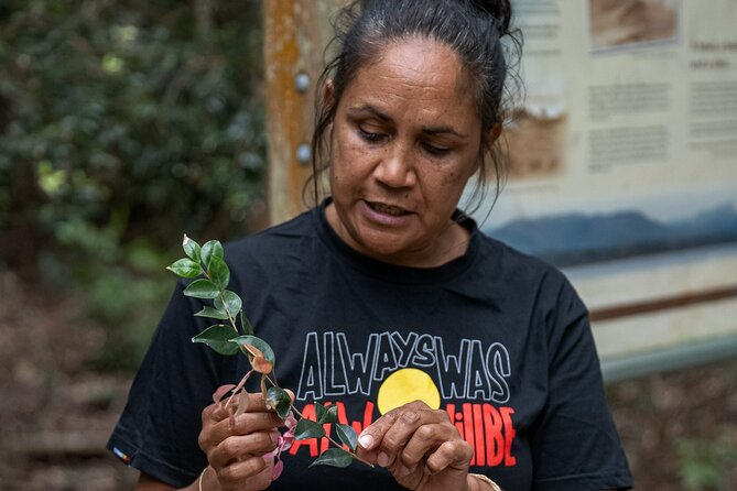 Cape Byron Aboriginal Tour - Weather, cancellations and practical planning