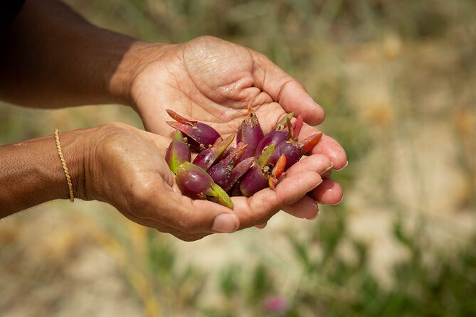 Cape Byron Aboriginal Tour - Who will enjoy this experience most