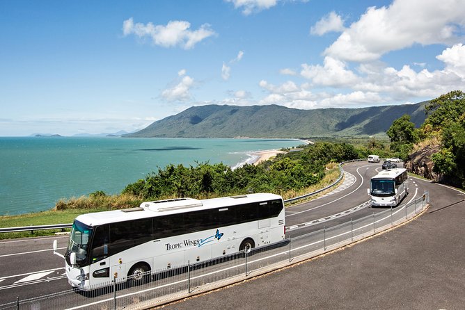 Cape Tribulation & Daintree Wilderness (TCT) - Cape Tribulation Beach and lunch by the reef