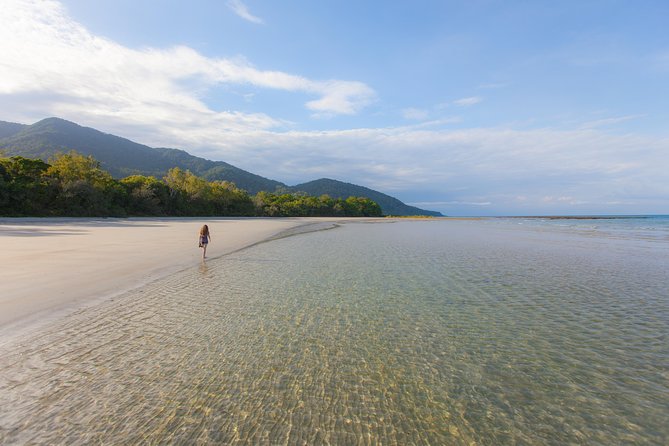 Cape Tribulation & Daintree Wilderness (TCT) - Alexandra Lookout for a quick wide view