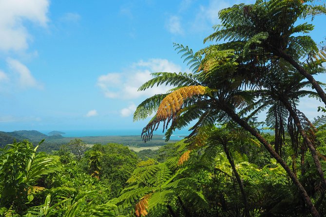 Cape Tribulation & Daintree Wilderness (TCT) - What the $187.92 price really covers