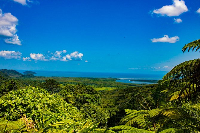 Cape Tribulation Day Tour - Is this the right way to see Cape Tribulation?