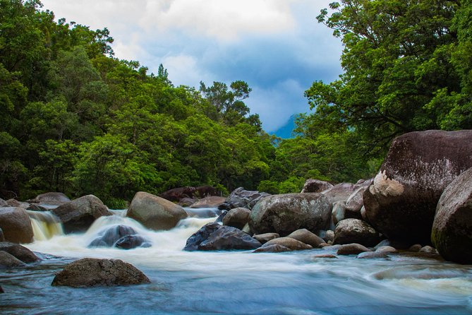 Cape Tribulation Day Tour - Cape Tribulation Beach and the included picnic