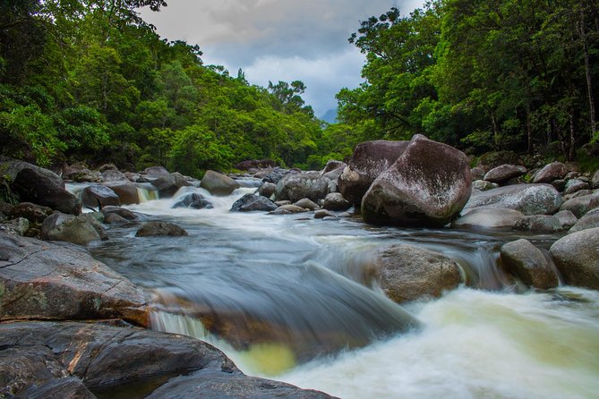 Cape Tribulation Day Tour - Cruising the Daintree River
