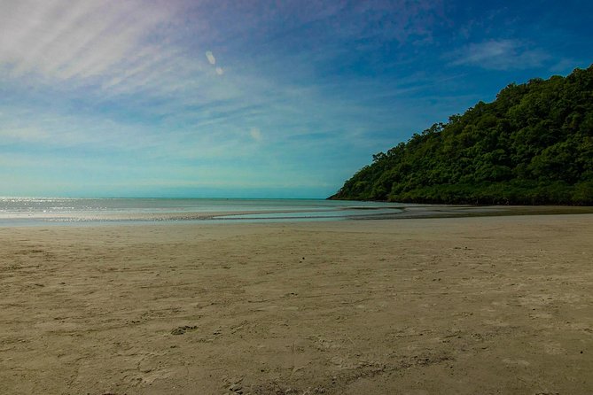 Cape Tribulation Day Tour - Mossman Gorge and the possible swim