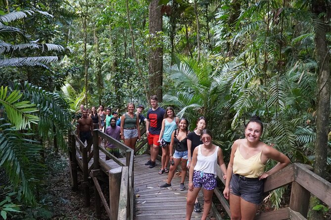 Cape Tribulation Day Tour from Cairns - Key points at a glance