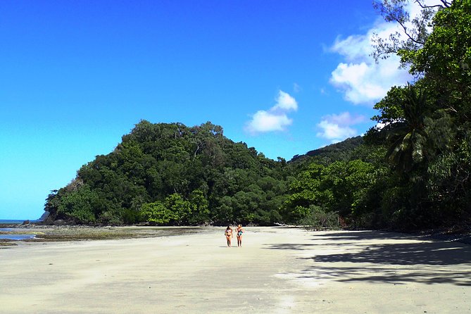 Cape Tribulation Day Tour from Cairns - Why this Cape Tribulation day works
