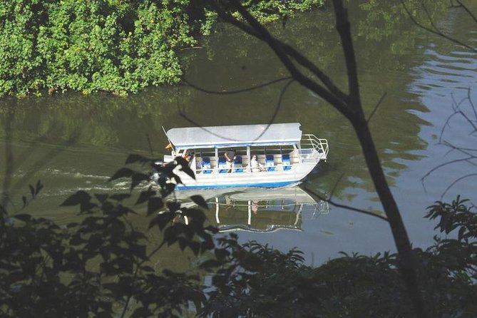 Cape Tribulation Day Tour from Cairns - Cape Tribulation Beach and the rainforest coast