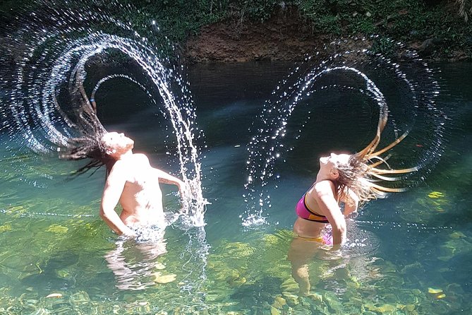 Cape Tribulation Day Tour from Cairns - Food, group size, and guide style