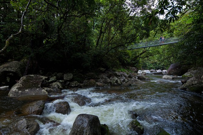 Cape Tribulation, Mossman Gorge and Daintree Rainforest Day Tour - Key things to know before booking