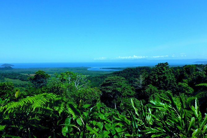 Cape Tribulation, Mossman Gorge and Daintree Rainforest Day Tour - Lunch at the Daintree Tea House