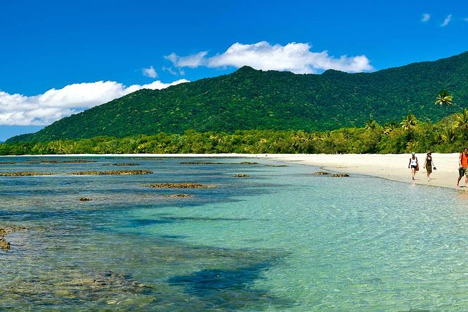 Cape Tribulation, Mossman Gorge and Daintree Rainforest Day Tour - Crocodiles on the Daintree River