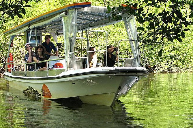 Cape Tribulation, Mossman Gorge and Daintree Rainforest Day Tour - Cape Tribulation and the meeting of forest and sea