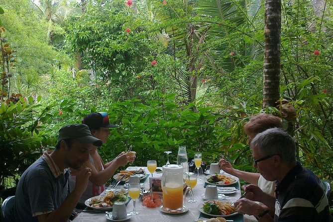 Cape Tribulation, Mossman Gorge and Daintree Rainforest Day Tour - The Captain Cook Highway and Rex Lookout