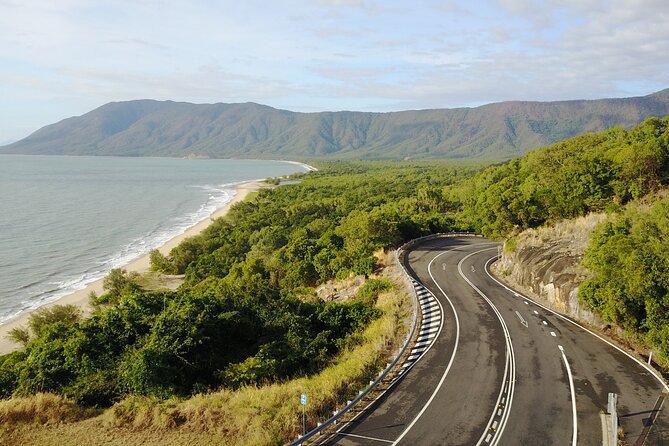 Cape Tribulation, Mossman Gorge, and Daintree Rainforest Day Trip - Dubuji Boardwalk gives you the best forest walk