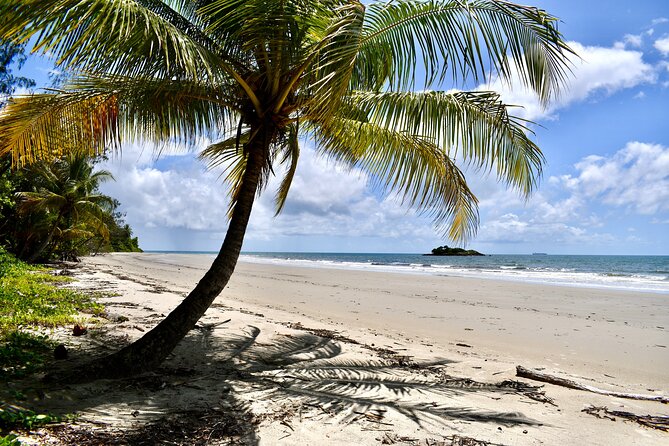 Cape Tribulation, Mossman Gorge, and Daintree Rainforest Day Trip - The coach ride is part of the experience
