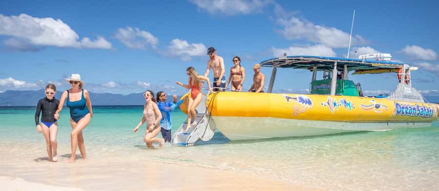 Cape Tribulation Ocean Safari - Great Barrier Reef Adventure - What you may see below the surface