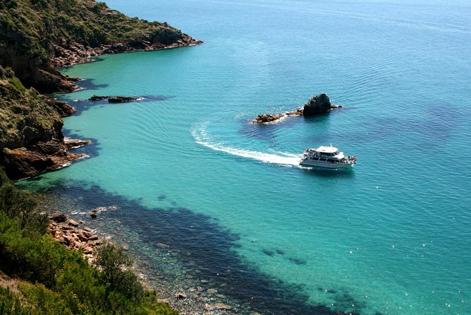 Cape Woolamai Sightseeing Cruise from San Remo - Why the one-hour length can be a smart choice