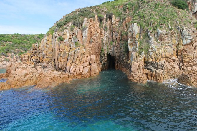 Cape Woolamai Sightseeing Cruise from San Remo - Price and value at $35.14 per person