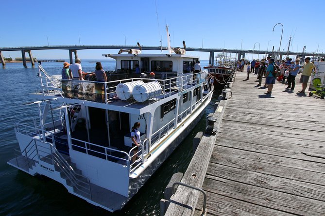 Cape Woolamai Sightseeing Cruise from San Remo - Weather and comfort can shape your day