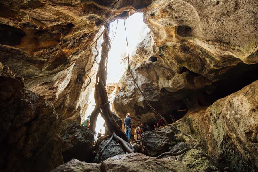 Capricorn Caves: 120 Minute Capricorn Adventurer Tour - Jack’s Beanstalk and Fat Man’s Misery