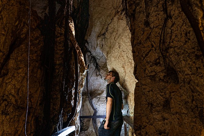 Capricorn Caves Cathedral Cave Tour - Who should book Cathedral Cave?
