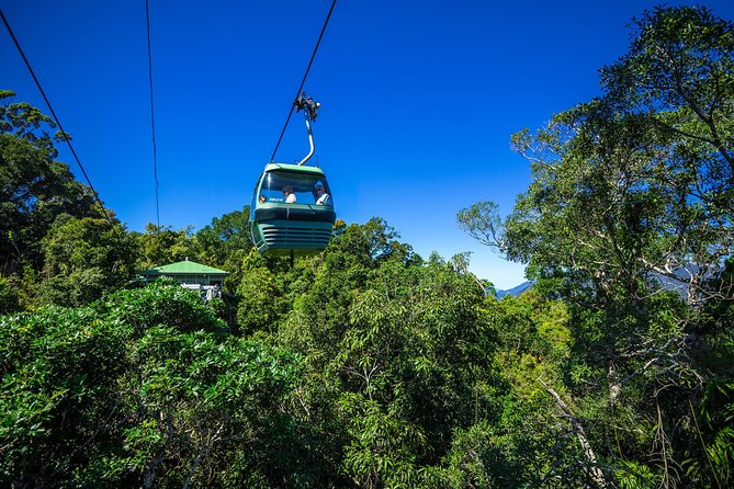 Classic Kuranda by Skyrail and Scenic Railway, Rainforestation & lunch. CKB - Why this Kuranda combination works