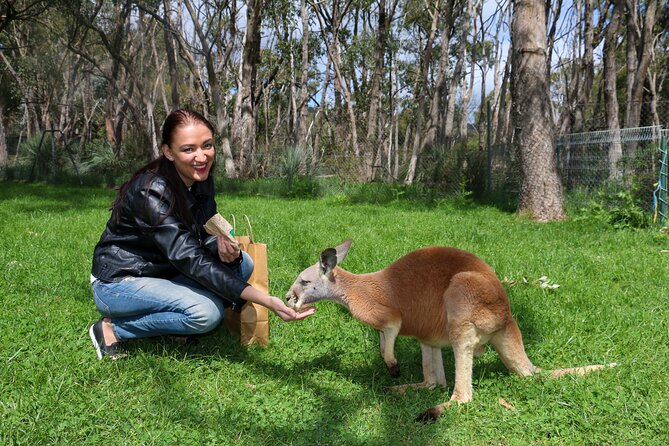 Cleland Wildlife Park Experience - from Adelaide including Mt Lofty Summit - Lunch inside the park