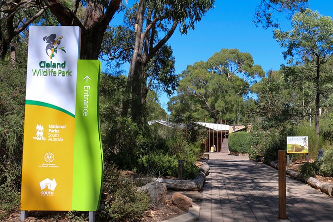 Cleland Wildlife Park Experience - from Adelaide including Mt Lofty Summit - The koala close-up, and the extra hold