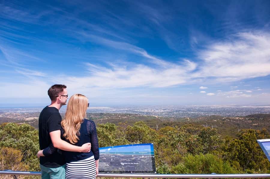 Cleland Wildlife Park Experience with Mount Lofty Summit - The koala close-up and the extra-cost hold