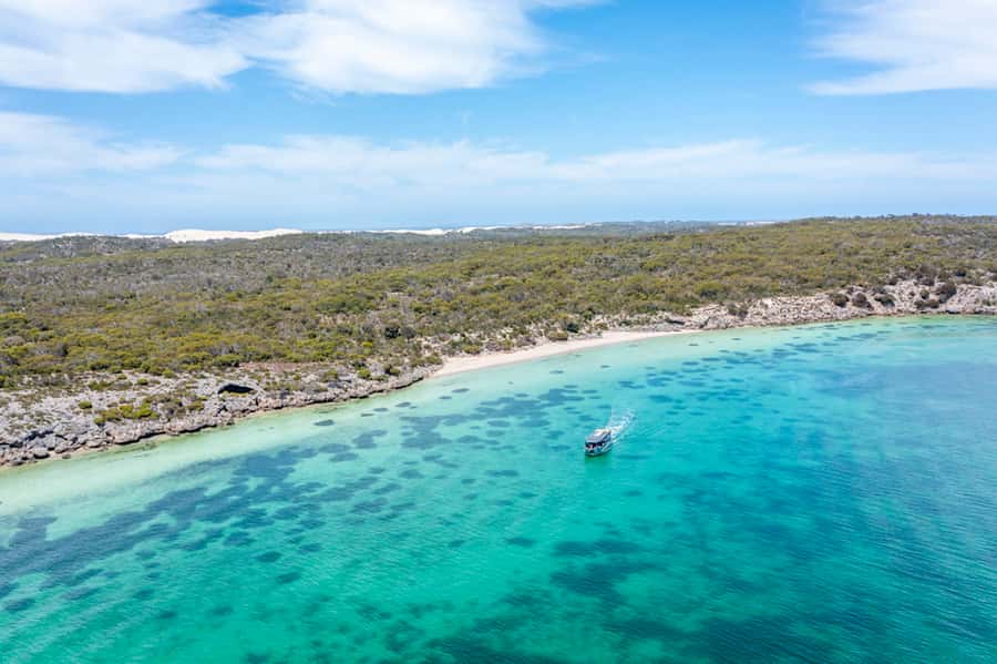 Coffin Bay: Oyster Farm Boat Tour with Wading & 12 Oysters - Key points to know