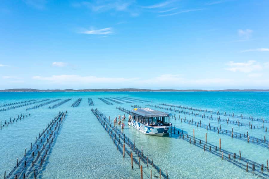 Coffin Bay: Oyster Farm Boat Tour with Wading & 12 Oysters - Why this Coffin Bay oyster tour feels different