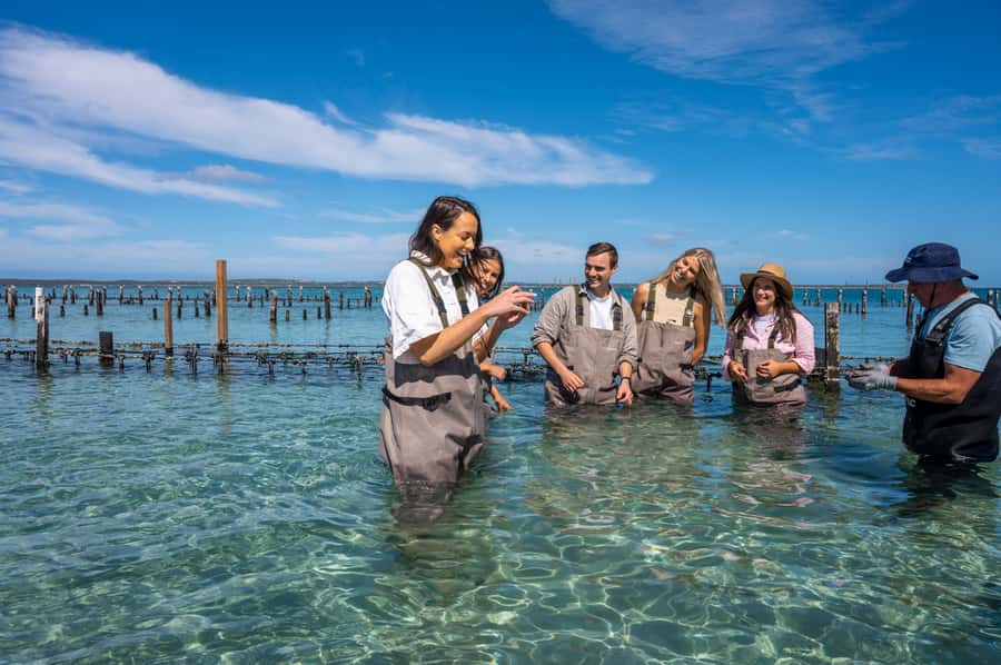 Coffin Bay: Oyster Farm Boat Tour with Wading & 12 Oysters - A dozen oysters fresh from the farm