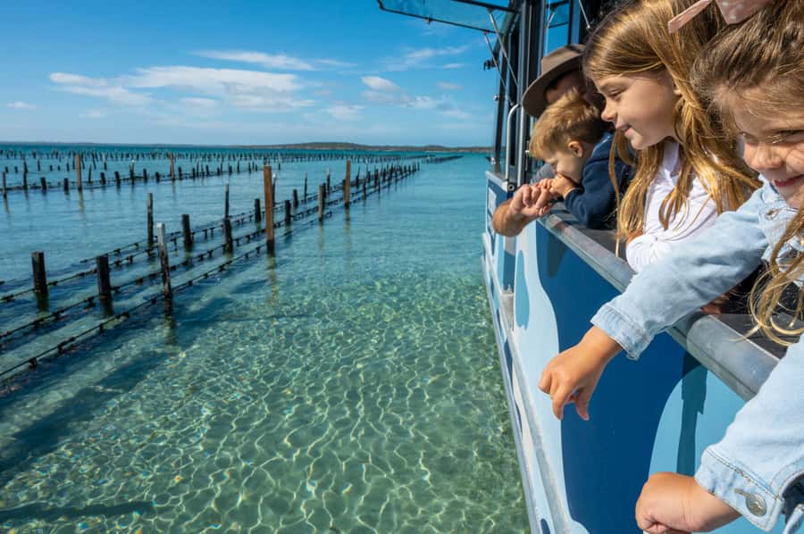Coffin Bay: Oyster Farm Boat Tour with Wading & 12 Oysters - Brother’s Island and the seal sightings