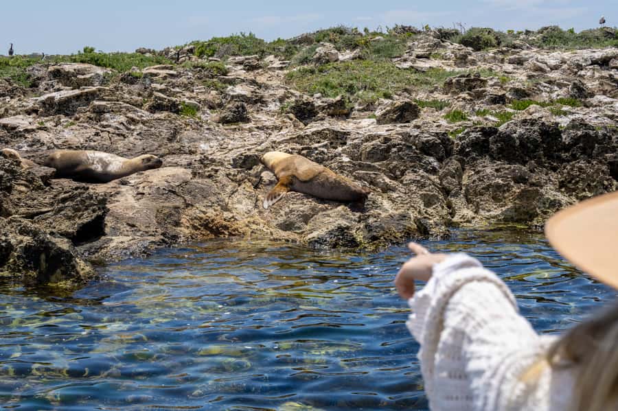 Coffin Bay: Oyster Farm Boat Tour with Wading & 12 Oysters - What the $130 price buys you