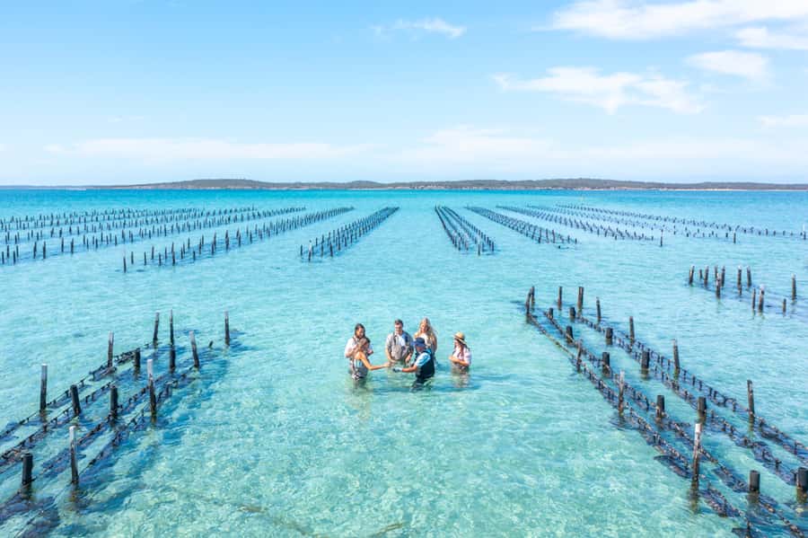 Coffin Bay: Oyster Farm Boat Tour with Wading & 12 Oysters - Meeting the boat at Coffin Bay Yacht Club