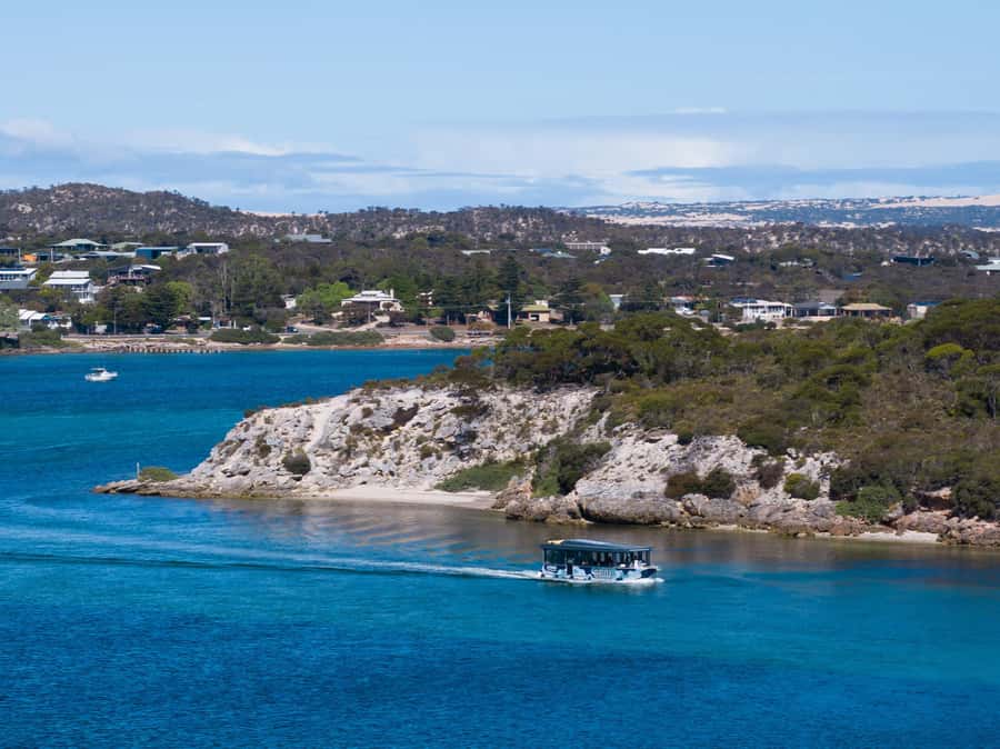 Coffin Bay: Short and Sweet Oyster Farm Tour - Starting at Berth 5 on the Coffin Bay waterway
