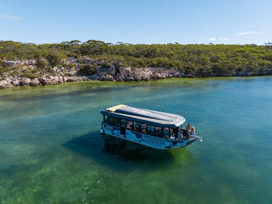 Coffin Bay: Short and Sweet Oyster Farm Tour - At the farm: how premium oysters are produced