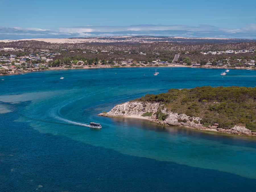 Coffin Bay: Short and Sweet Oyster Farm Tour - Angasi oysters and the restoration story