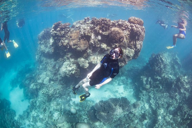 Coral Bay 2-Hour Coral Viewing and Snorkeling - How the two-hour timing affects the value