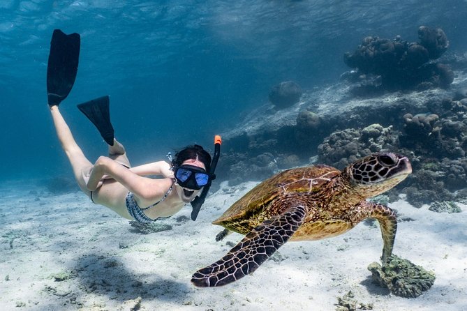 Coral Bay 3-Hour Turtle Ecotour - Key points to know before booking