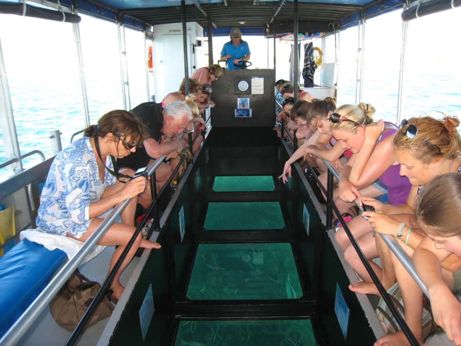 Coral Bay Glass-Bottom Boat Tour - Seeing Ningaloo Reef without getting in the water